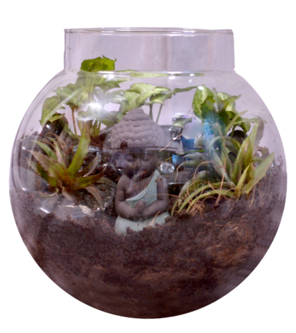 HOW TO MAKE BUDDHA TERRARIUM
