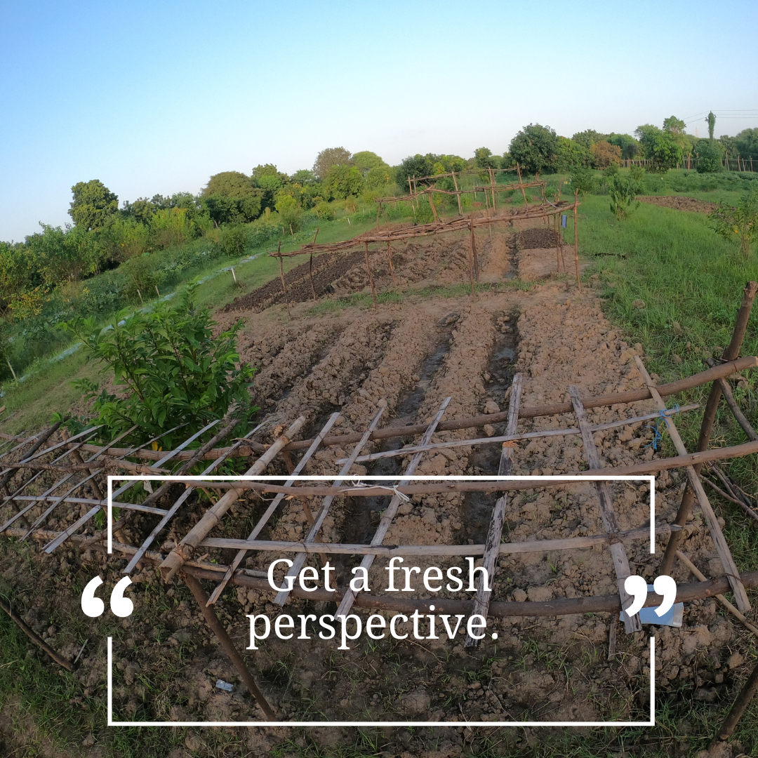 Rent-A-Farm Monsoon 2024-25