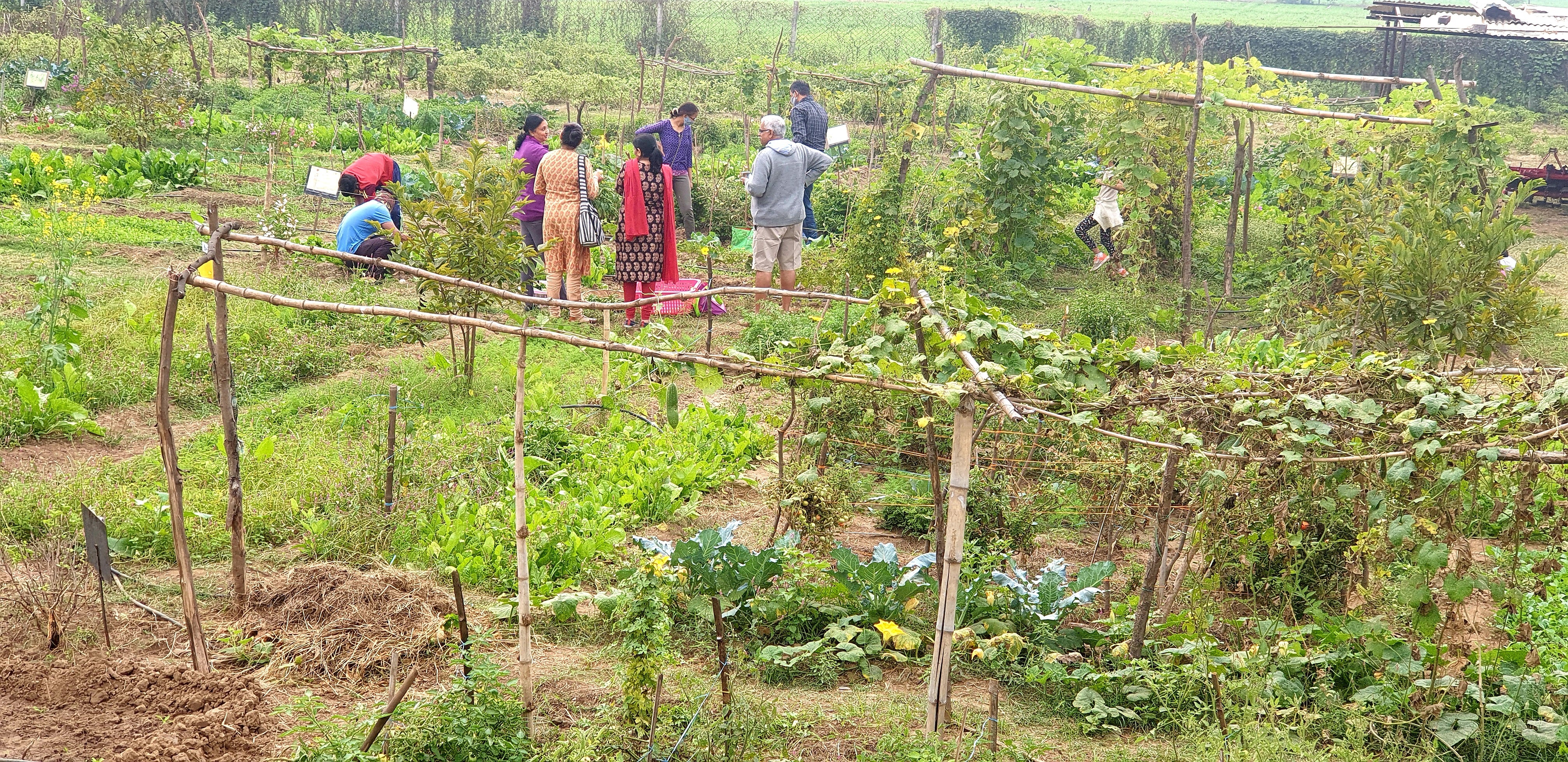 Rent-A-Farm Monsoon 2024-25