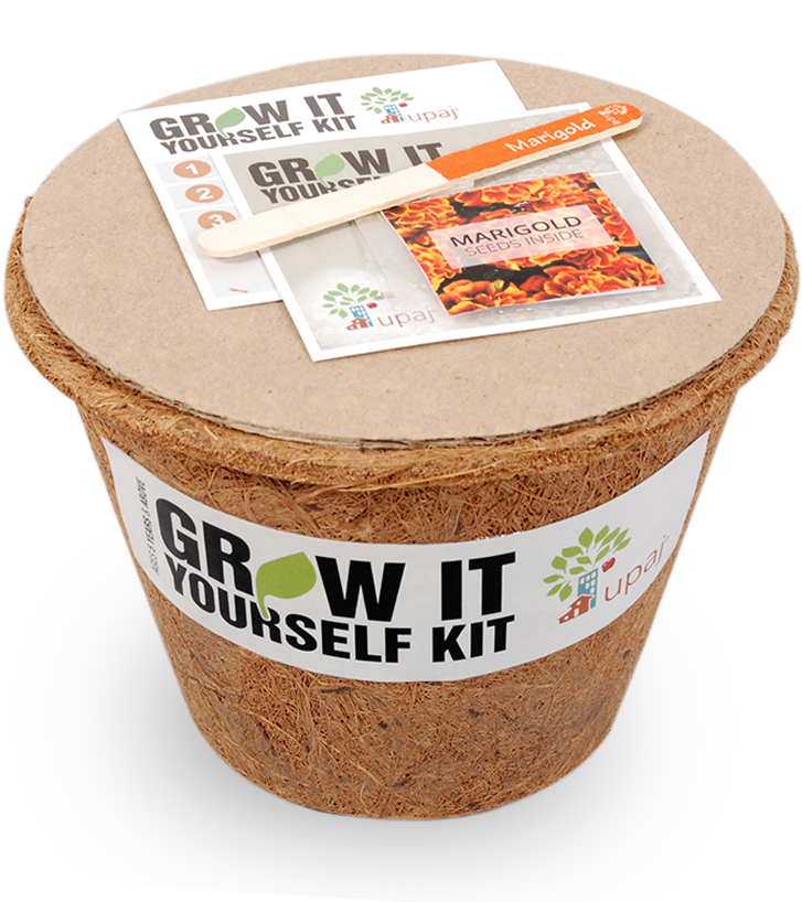 MARIGOLD LARGE GIY KIT