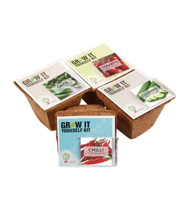 VEGETABLE GARDEN (SMALL GIY KITS - PACK OF 4)