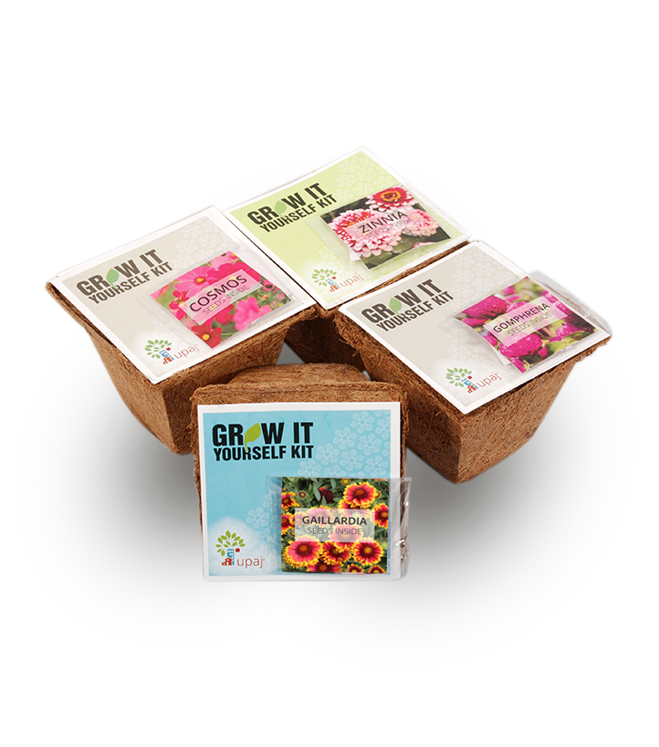 FLOWER GARDEN (SMALL GIY KITS - PACK OF 4)
