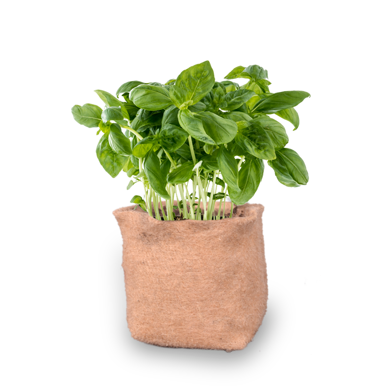 JUTE GROW BAG HERB GARDEN