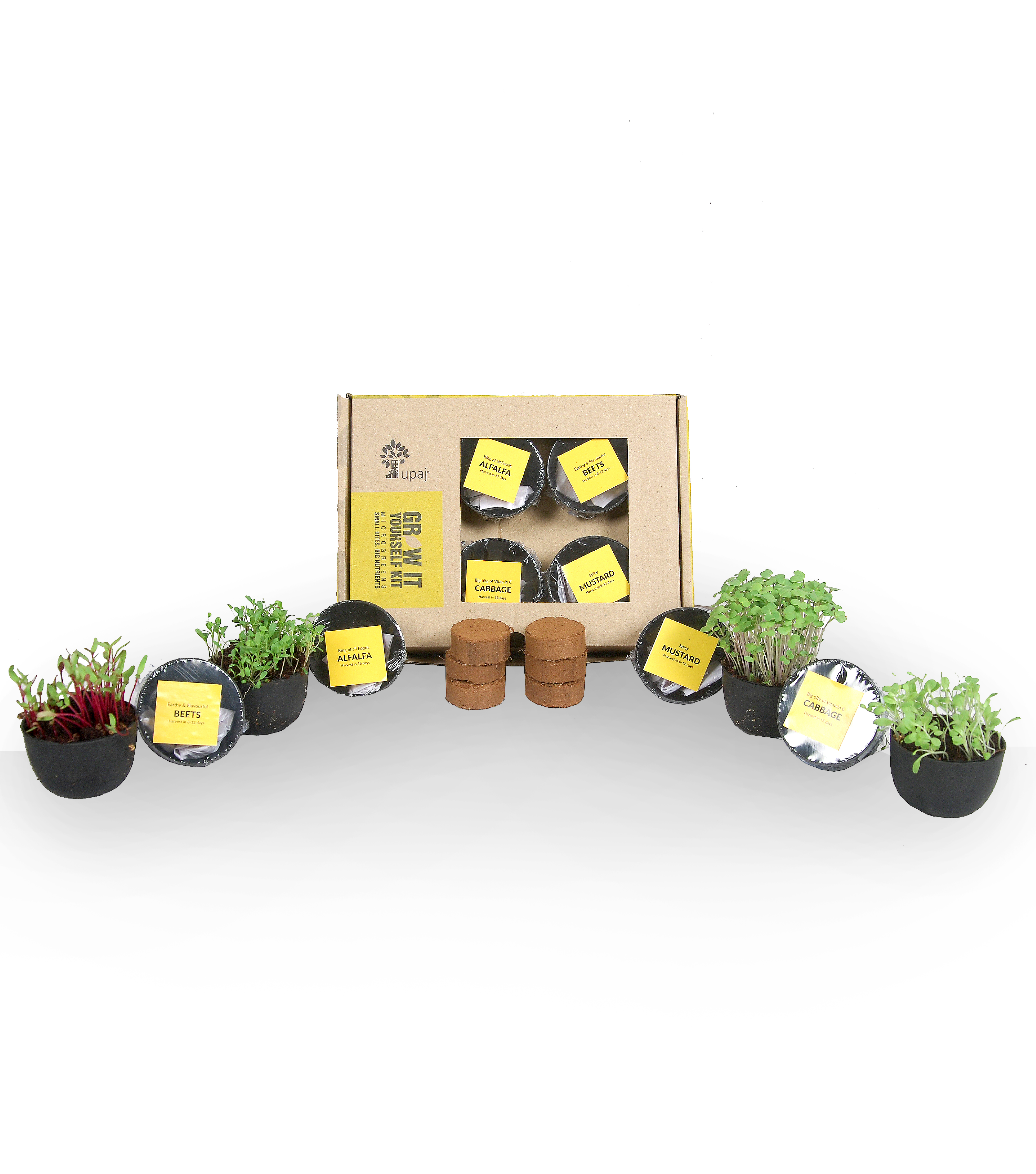 MICROGREENS GIY KIT