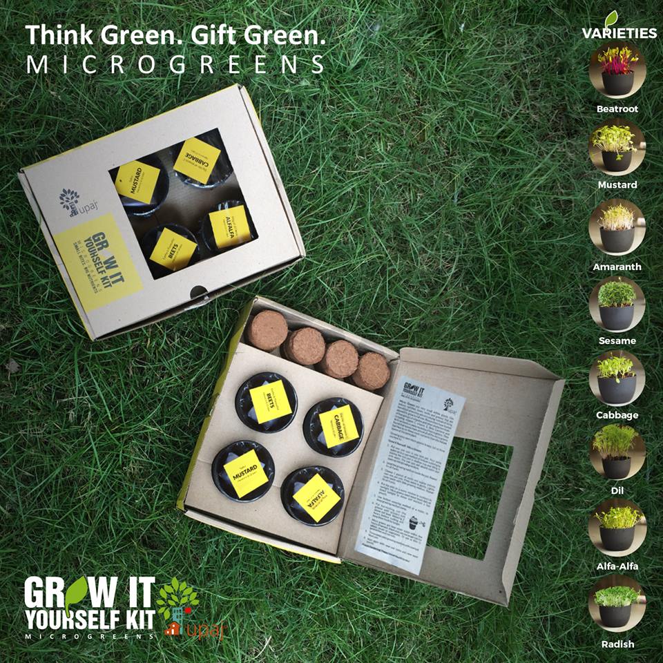 MICROGREENS GIY KIT