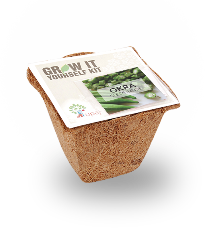 OKRA SMALL GIY KIT