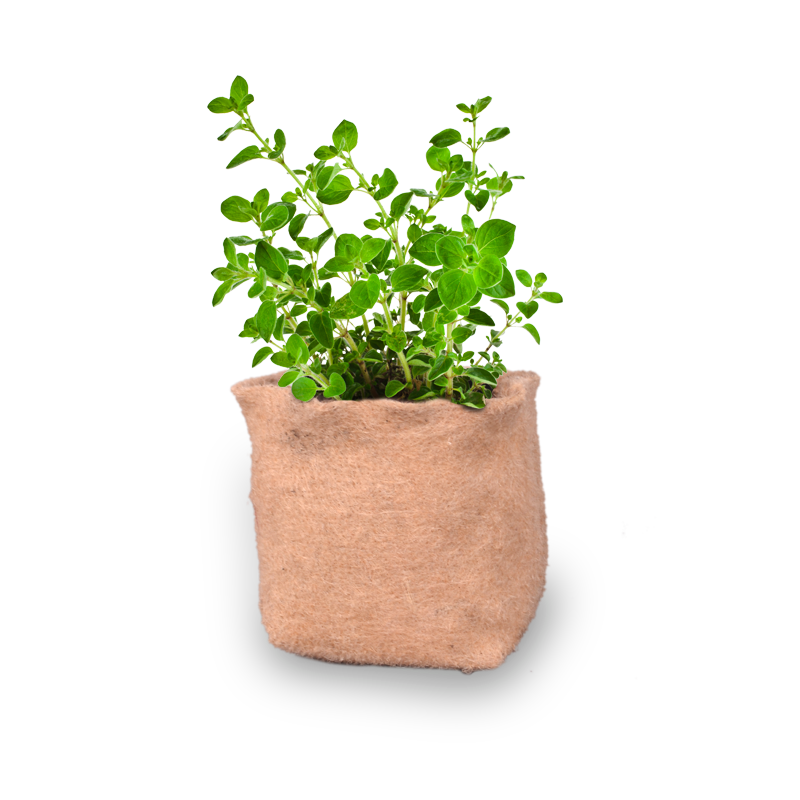 JUTE GROW BAG HERB GARDEN