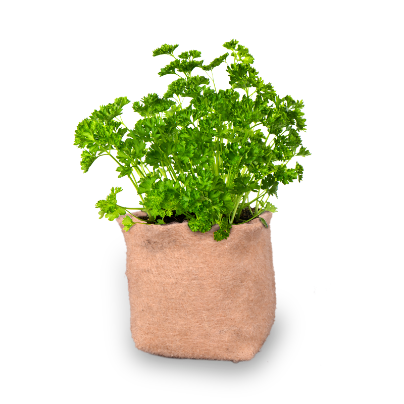JUTE GROW BAG HERB GARDEN