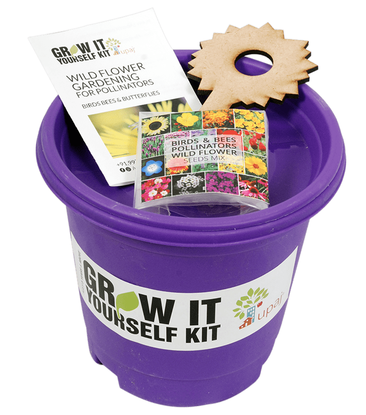 BIRDS & BEES POLLINATORS GIY KIT