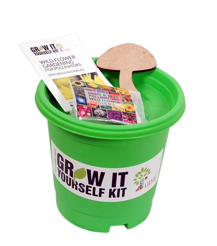 BIRDS & BEES POLLINATORS GIY KIT