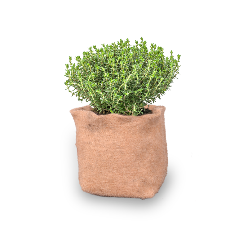 JUTE GROW BAG HERB GARDEN