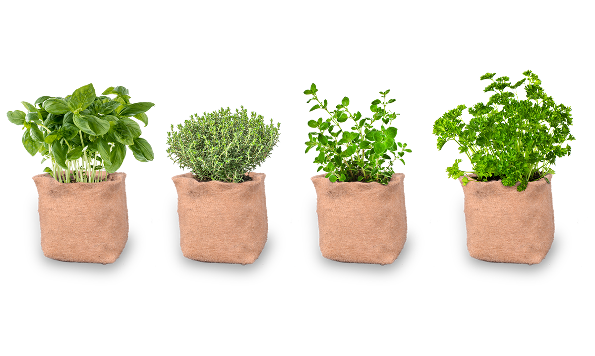 JUTE GROW BAG HERB GARDEN