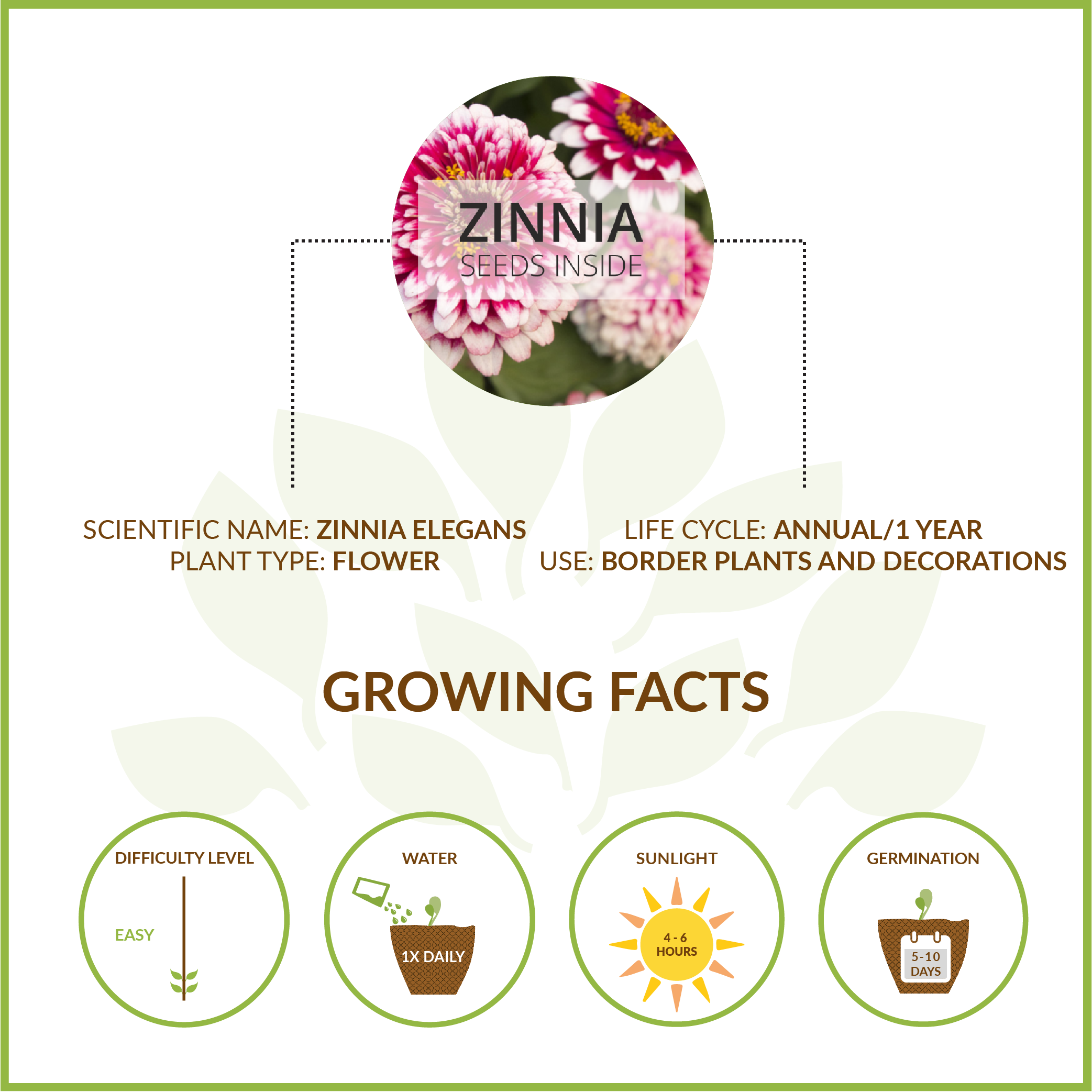 ZINNIA SMALL GIY KIT