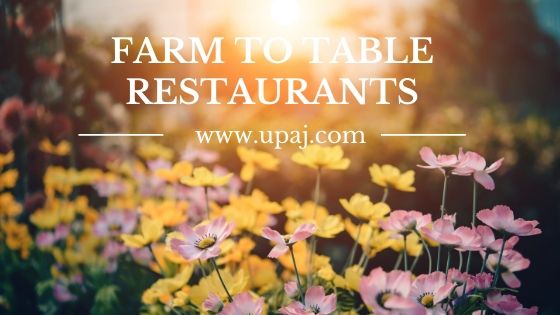 11 Fascinating Farm to Table Restaurants in the World You Need to Know About