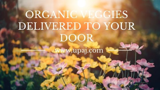 Know How to Get Organic Veggies Delivered to Your Home